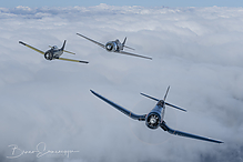 DSC_5374-1_tm.jpg