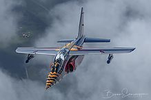 DSC_6299-1_tm.jpg
