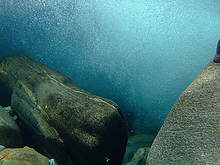 Filename=2007_09090165.jpg
Filesize=246KiB
Dimensions=800x600
Date added=Sep 09, 2015 2007_09090165.jpg