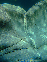 Filename=2007_09090171.jpg
Filesize=198KiB
Dimensions=600x800
Date added=Sep 09, 2015 2007_09090171.jpg