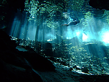 Filename=DSCF2110.jpg
Filesize=276KiB
Dimensions=1000x750
Date added=Sep 07, 2015 DSCF2110.jpg