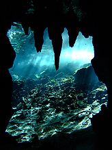 Filename=DSCF2121.jpg
Filesize=321KiB
Dimensions=750x1000
Date added=Sep 07, 2015 DSCF2121.jpg