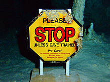 Filename=DSCF2125.jpg
Filesize=250KiB
Dimensions=1000x750
Date added=Sep 07, 2015 DSCF2125.jpg