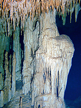 Filename=DSCF2242.jpg
Filesize=325KiB
Dimensions=750x1000
Date added=Sep 07, 2015 DSCF2242.jpg