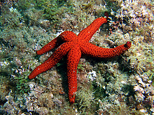 Filename=2007_04090321.jpg
Filesize=256KiB
Dimensions=800x600
Date added=Sep 07, 2015 2007_04090321.jpg