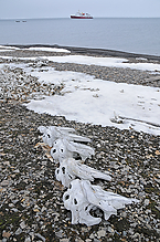 DSC_5088.jpg