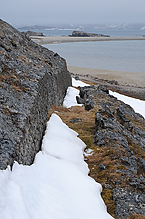 DSC_5127.jpg