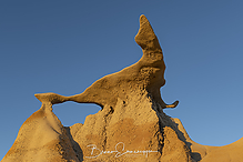 Filename=DSC3701-1_tm.jpg
Filesize=414KiB
Dimensions=1500x1000
Date added=Sep 16, 2019 DSC3701-1_tm.jpg