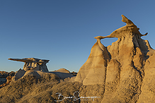 Filename=DSC3705-06-1_tm.jpg
Filesize=638KiB
Dimensions=1500x1000
Date added=Sep 16, 2019 DSC3705-06-1_tm.jpg