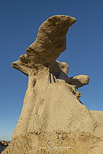 Filename=DSC3749-1_tm.jpg
Filesize=557KiB
Dimensions=1000x1500
Date added=Sep 16, 2019 DSC3749-1_tm.jpg