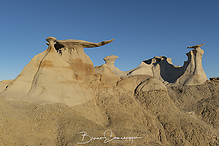 Filename=DSC3765-1_tm.jpg
Filesize=633KiB
Dimensions=1500x1000
Date added=Sep 16, 2019 DSC3765-1_tm.jpg