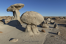 Filename=DSC3790-1_tm.jpg
Filesize=623KiB
Dimensions=1500x1000
Date added=Sep 16, 2019 DSC3790-1_tm.jpg