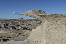 Filename=DSC3802-04-2_tm.jpg
Filesize=590KiB
Dimensions=1500x1000
Date added=Sep 16, 2019 DSC3802-04-2_tm.jpg