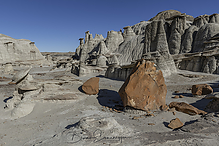 Filename=DSC3860-1_tm.jpg
Filesize=624KiB
Dimensions=1500x1000
Date added=Sep 16, 2019 DSC3860-1_tm.jpg