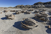 Filename=DSC3892-1_tm.jpg
Filesize=742KiB
Dimensions=1500x1000
Date added=Sep 16, 2019 DSC3892-1_tm.jpg