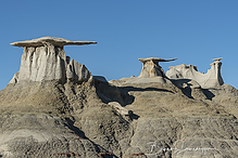 Filename=DSC3911-1_tm.jpg
Filesize=661KiB
Dimensions=1500x1000
Date added=Sep 16, 2019 DSC3911-1_tm.jpg