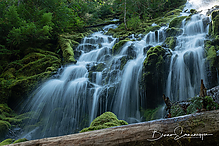 Filename=DSC2996-1_tm.jpg
Filesize=802KiB
Dimensions=1500x1000
Date added=Sep 16, 2019 DSC2996-1_tm.jpg