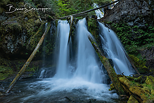 Filename=DSC3061-1_tm.jpg
Filesize=736KiB
Dimensions=1500x1000
Date added=Sep 16, 2019 DSC3061-1_tm.jpg