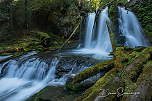 Filename=DSC3081-1_tm.jpg
Filesize=796KiB
Dimensions=1500x1000
Date added=Sep 16, 2019 DSC3081-1_tm.jpg