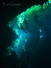 1010875-1_tm.jpg