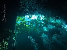 1010889-1_tm.jpg