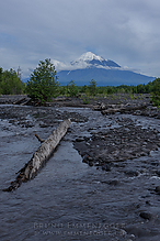 D810_4520-1_tm.jpg