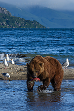 D810_5745-3_tm.jpg
