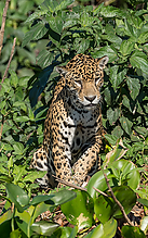 DSC9395_tm.jpg
