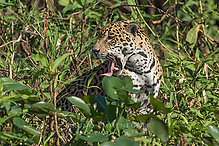 DSC9573_tm.jpg