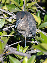 DSC_0064.jpg