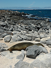DSC_0167_1.jpg