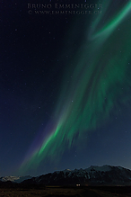 DSC_0291-1_tm.jpg