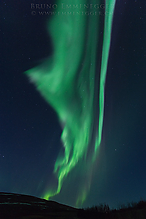 DSC_0529-1_tm.jpg