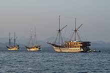 DSC_1944-1_tm.jpg
