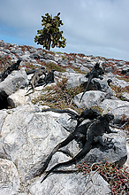 DSC_20058.jpg