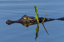 DSC_5013_tm.jpg