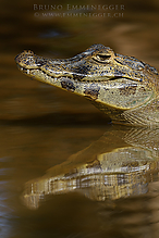 DSC_5283_tm.jpg