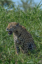 DSC_6823_tm.jpg