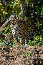 DSC_7323_tm.jpg