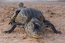 DSC_9811_tm.jpg