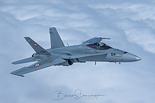 DSC_0667-DxO_DeepPRIME_XD3-1_tm.jpg