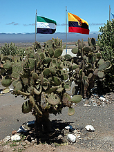DSC_20080.jpg