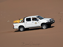 IMG_20221007_081559_1-1_tm.jpg