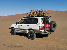 IMG_20221009_073642_1-1_tm.jpg